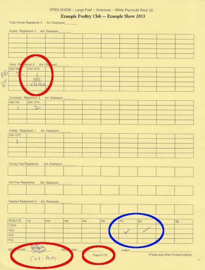 poultry show judging card example